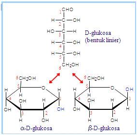 STRUKTUR KONFORMASI GLUKOSA Agus Nurul Komarudin
