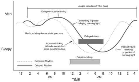 Delayed Sleep Phase Disorder Wikipedia, 60% OFF