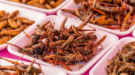 Edible Insects Superfood Diet