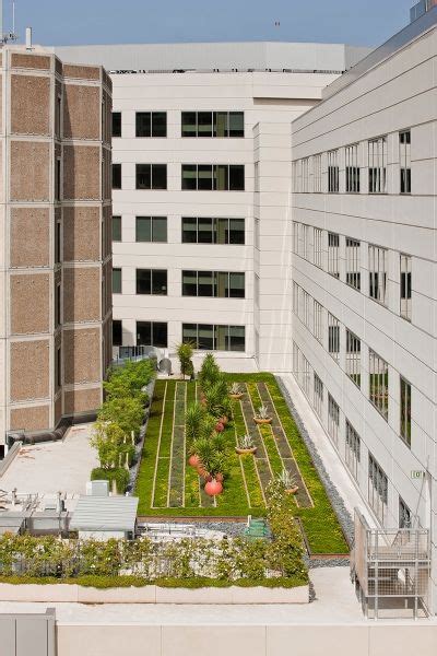 1000+ images about Hospital landscape design on Pinterest | Childrens ...