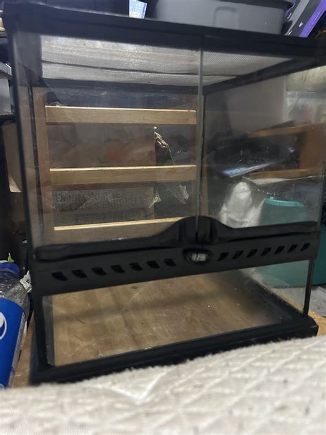 Does this provide enough room? : r/millipedes