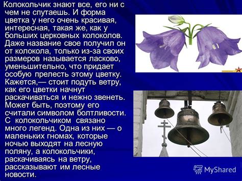 Презентация на тему: "Александрова Анна 4«Б»класс. Презентация по теме ...