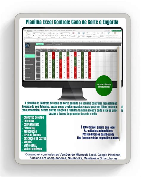 Planilha Excel Controle Gado de Corte e Engorda – Planilhas Excel