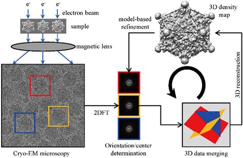 Cryo Em D Reconstruction