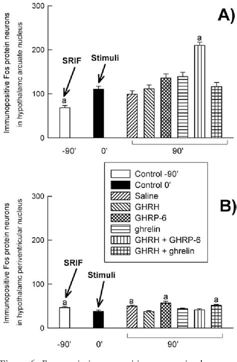 Figure 6 From Antagonism Between Ghrelin Gh Secretagogues And