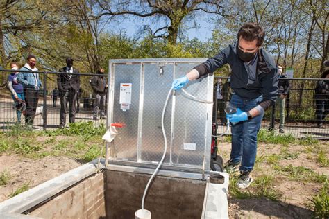 Brooklyn College Professor Tackling Toxic Algae Blooms | Brooklyn College