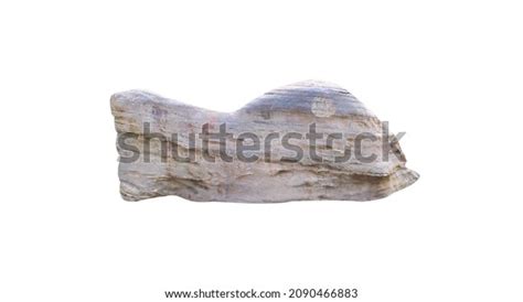 7,552 Fossil Layers Images, Stock Photos & Vectors | Shutterstock