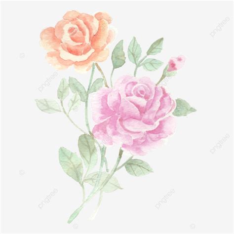 Pink Orange Watercolor Flower Wedding Flower Watercolor Png