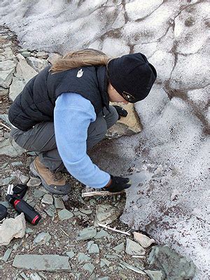 Ice Patch Archeology and Paleoecology at Glacier National Park (U.S ...