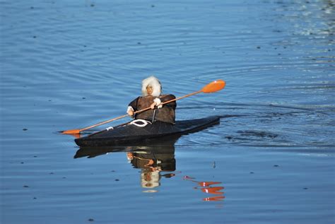 Inuit Kayak – SRCMYC/SRCMBC