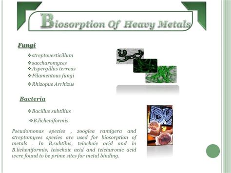 Biosorption