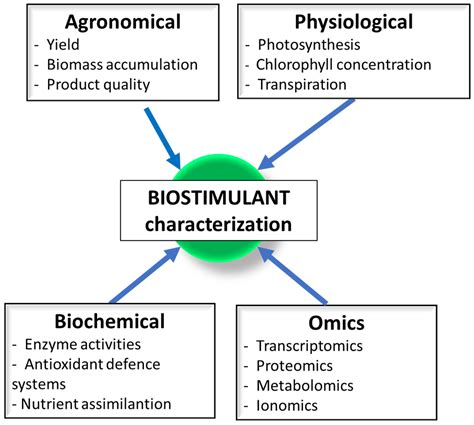 Horticulturae Free Full Text Biostimulants On Crops Their Impact