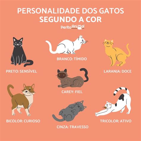 PERSONALIDADE dos GATOS segundo a sua COR Gatos Gatos de estimação