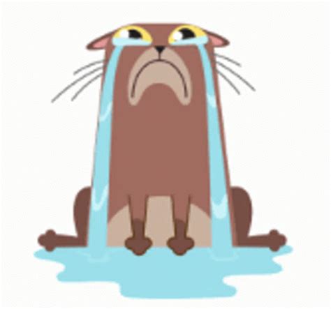 Cat Crying GIF - Cat Crying Sad - Discover & Share GIFs