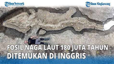 Fosil Naga Laut 180 Juta Tahun Ditemukan Di Inggris YouTube