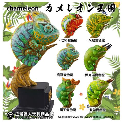 【扭蛋達人】3月預定 Chameleon 14公分 爬行類動物系列 可愛變色龍 預定特價 露天市集 全台最大的網路購物市集