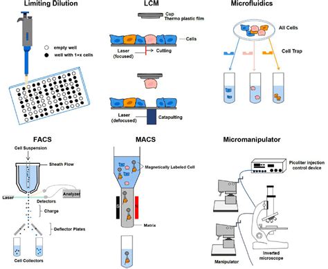 Frontiers Single Cell Omics A New Direction For Functional Genetic