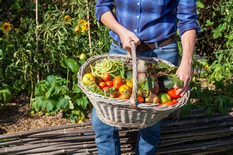 15 Tips On How To Store And Preserve Your Garden Harvest Farmers