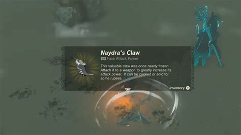 How to find and get Naydra Scale and Claw in Zelda TOTK - TOI News - TOI.News Game Guides