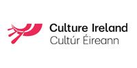 The London Irish Centre Irish Culture Community Services