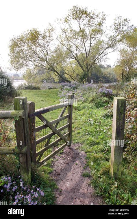 Forest Gate London Forest Gate High Resolution Stock Photography and ...