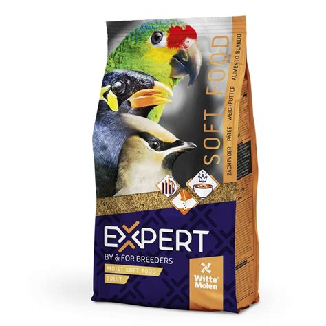 Expert pâtée aux fruits complément idéale pour vos oiseaux