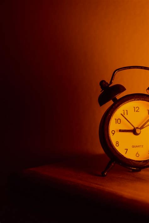 How To Train Your Dog To Sleep All Night - Pet Trained