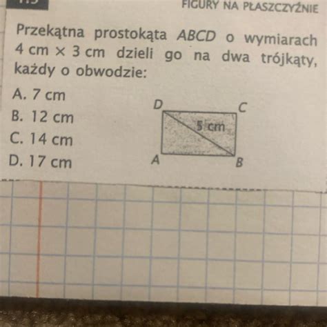 Zadanie W Zalaczniku Brainly Pl