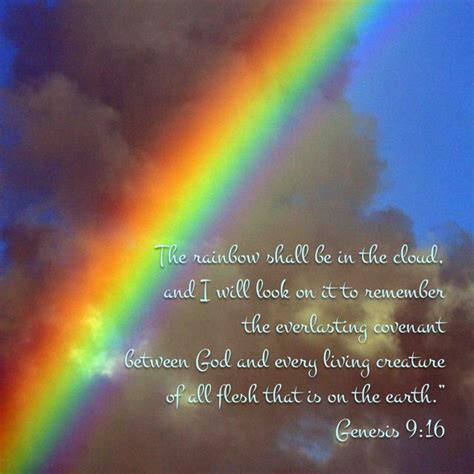 Genesis 916 The Rainbow Shall Be In The Cloud And I Will Look On It