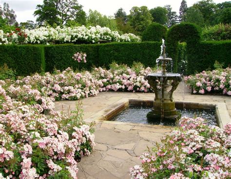 Victorian Garden Design Ludwigs Roses