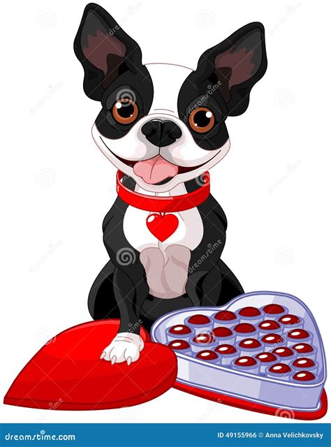 Boston Terrier Svg, Cute Svg Files For Cricut Cartoon Vector