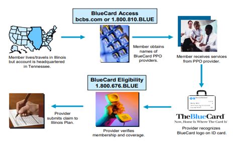 Bluecard Program From Blue Cross Blue Shield Best Updates