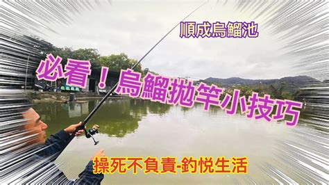 必看烏鰡拋竿小技巧釣悅生活順成龜山操死不負責釣魚 Youtube