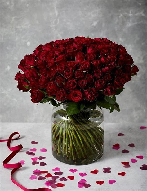 Roses, Roses, Roses: 100 Blooms for £75 at M&S – Don’t Miss Out ...