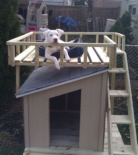 10 Amazing Diy Dog Houses With Free Plans