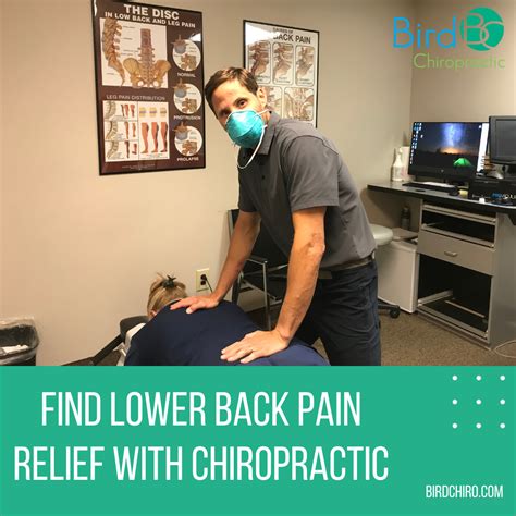 Find Lower Back Pain Relief With Chiropractic — Bird Chiropractic Best Local Voorhees Township