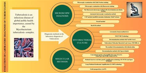 Evolution Of Laboratory Diagnosis Of Tuberculosis V1 Preprints Org