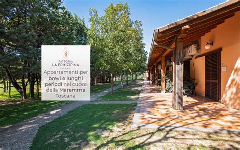 Offerte Last Minute Maremma Toscana Grosseto Scopri Le Offerte Della