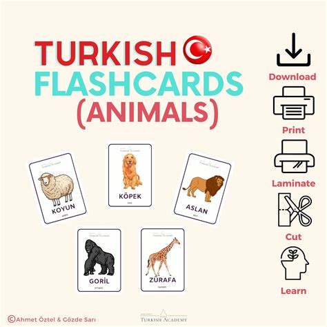 Printible Turkish Flashcards Animals Theme 80 Cards, 10 Sets HQ - Etsy