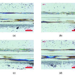 Optical Microscope Images Of Wear Tracks For B C Coating Deposited At