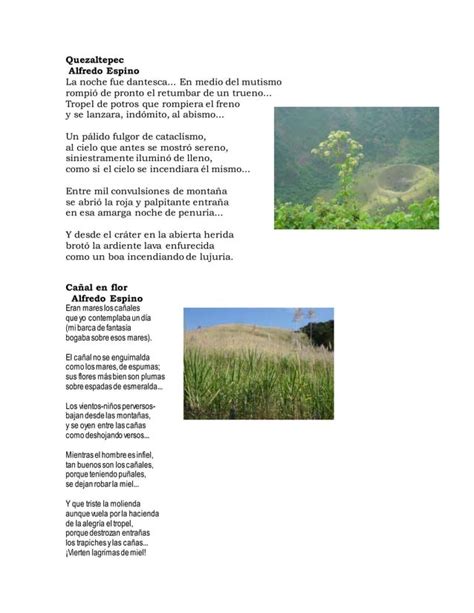 Poemas De Escritores Salvadore Os Pdf