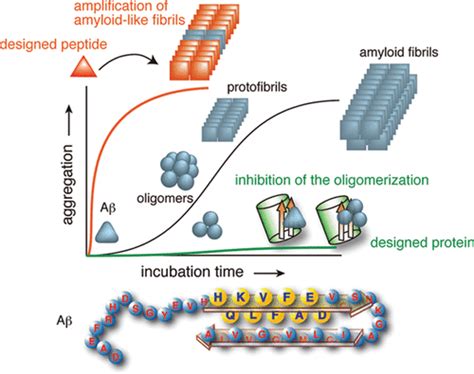 Beta Amyloid Peptide