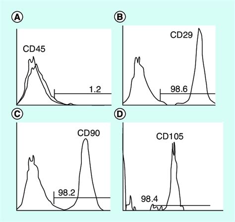 Flow Cytometric Characterization Analysis Of Bone Marrowmesenchymal