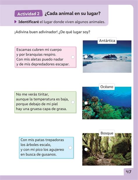 Cuaderno De Actividades Ciencias Naturales Pdf