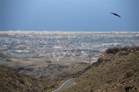 Vacation In Gran Canaria View On Playa Del Ingls From The Road To