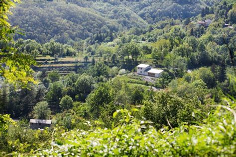 Cesap E Favis Querelano Il Centro Anidra