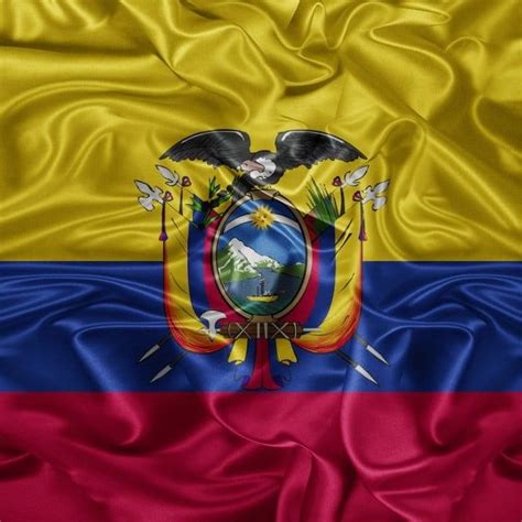 Vector De Ilustración De Bandera De Ecuador Agitando Fibra 3d PNG