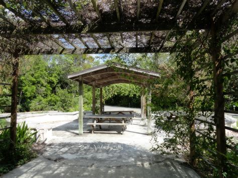 Dagny Johnson Key Largo Hammock Botanical State Park Bella Vida By