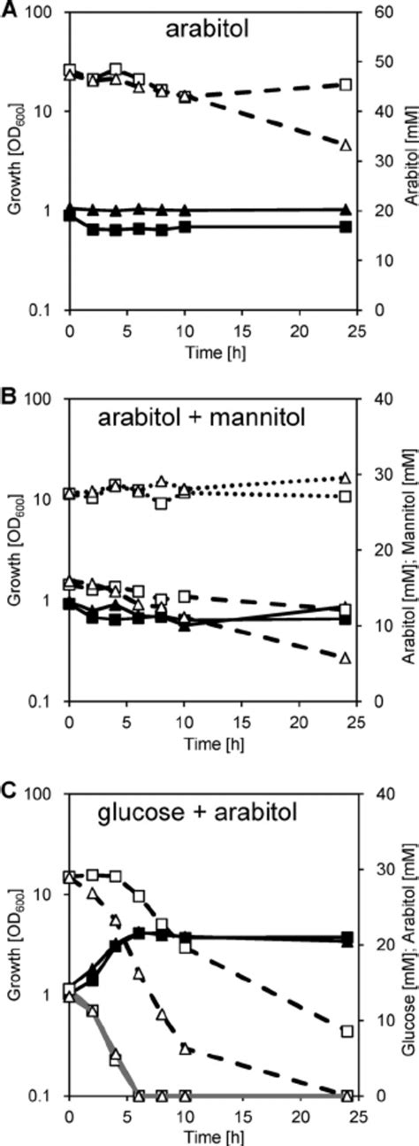 Growth And Substrate Consumption Of The C Glutamicum Xylb Squares