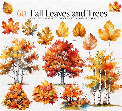 Fall Leaves and Trees Clipart fall Leaves Watercolor Png Fall Png, Pile of Leaves Png, Leaf ...